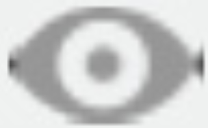 Hidden Visibility Icon