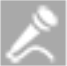 Mic Icon