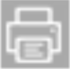 Print Icon